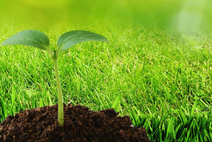 堆肥と化学肥料の併用について 共和化工株式会社